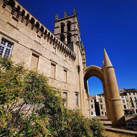 Apartmán Cosy Coeur Historique De