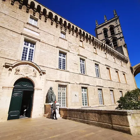 Apartmán Cosy Coeur Historique De *