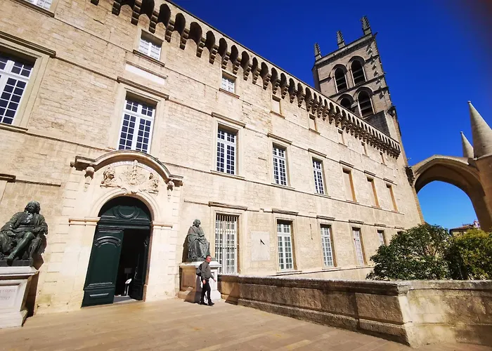 Apartmán Cosy Coeur Historique De *