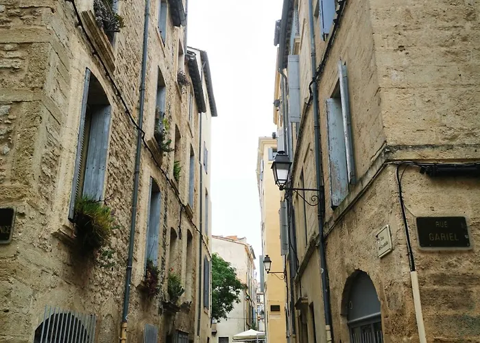 Cosy Coeur Historique De Montpellier